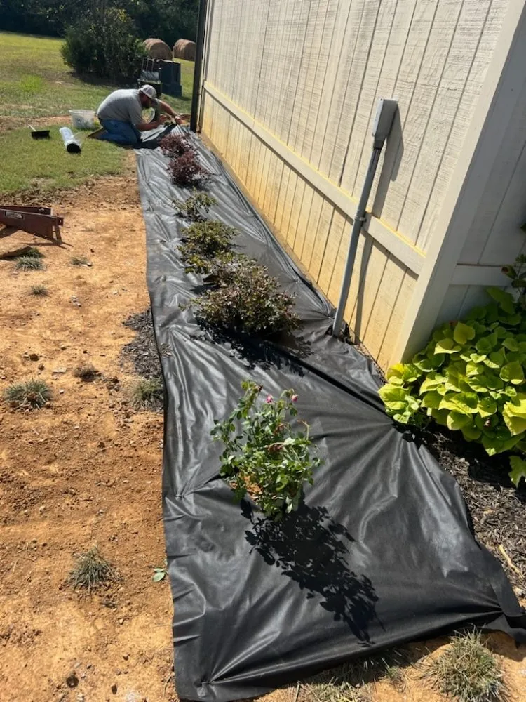 Expert lawn care service experts serving Christiana, TN - Boro Removal And More