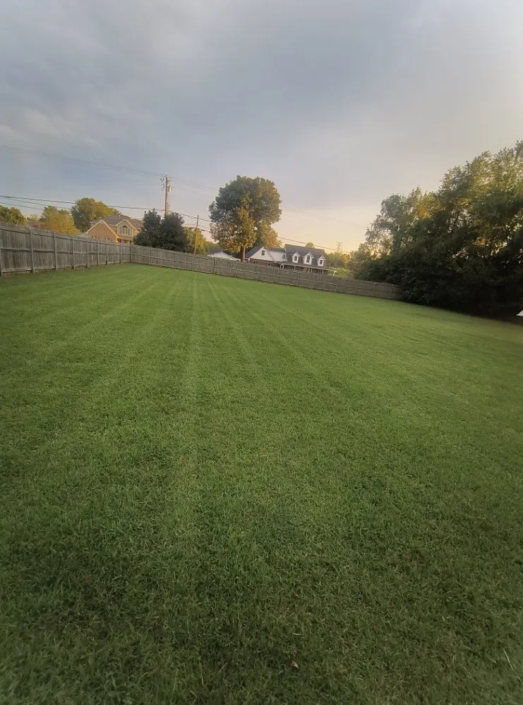 Trusted yard maintenance in Christiana, TN - Boro Removal And More