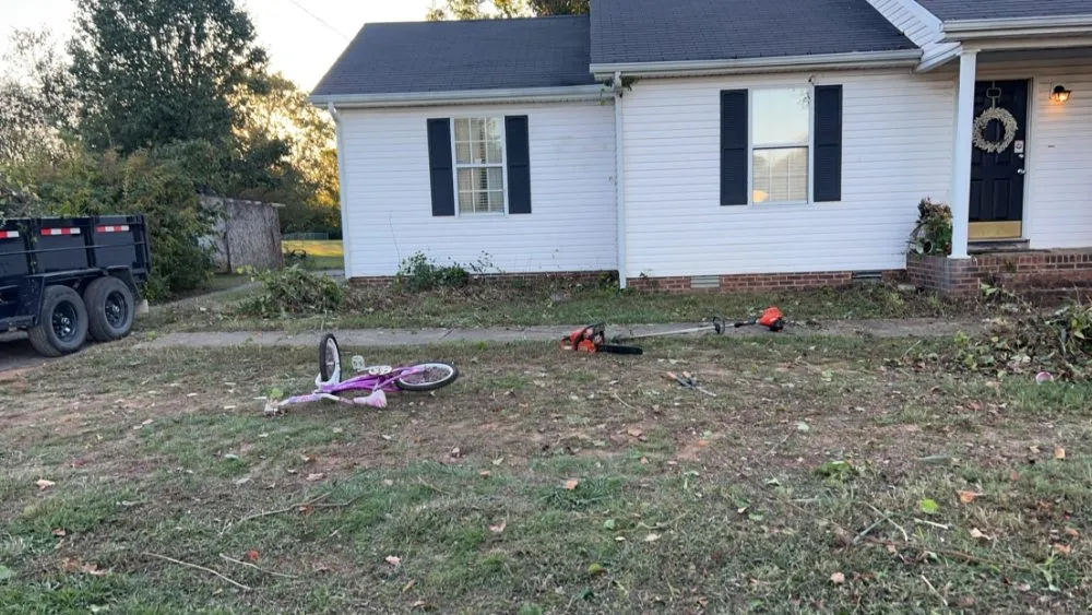 Affordable yard cleanup service with custom design in Christiana, TN by Boro Removal And More