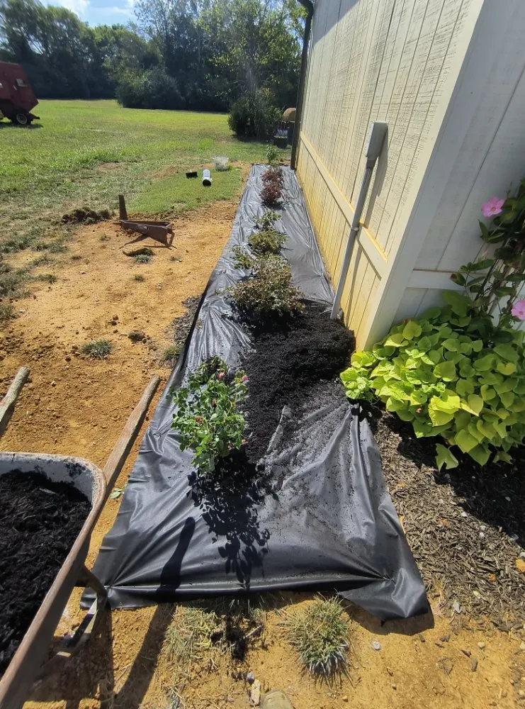 Custom yard cleanup service in Christiana, TN - Boro Removal And More