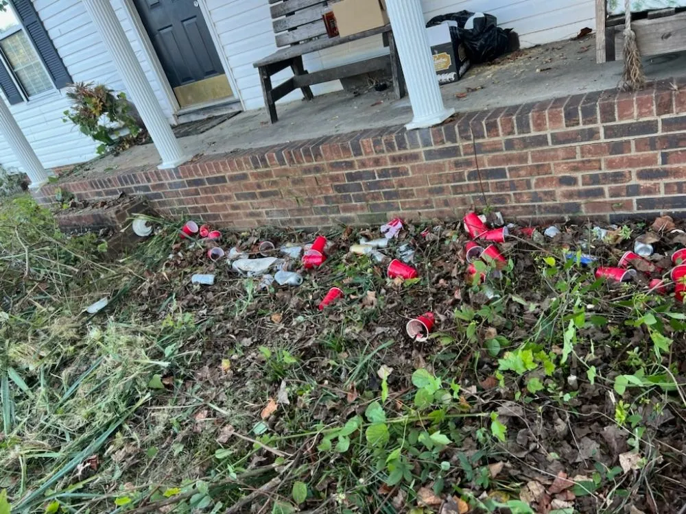 Expert lawn mowing service in Christiana, TN - Boro Removal And More