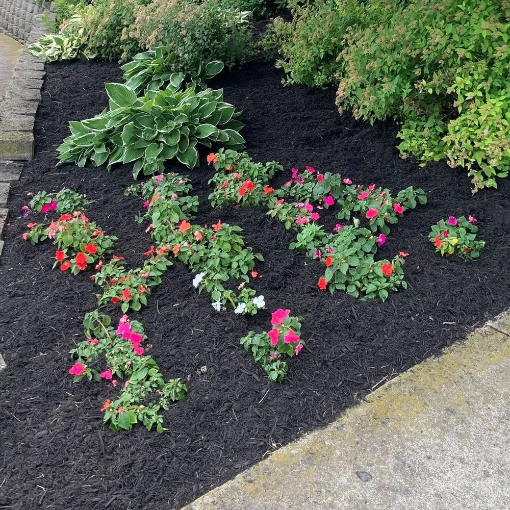 Reliable landscaping services in Springboro, OH - BoroBlades