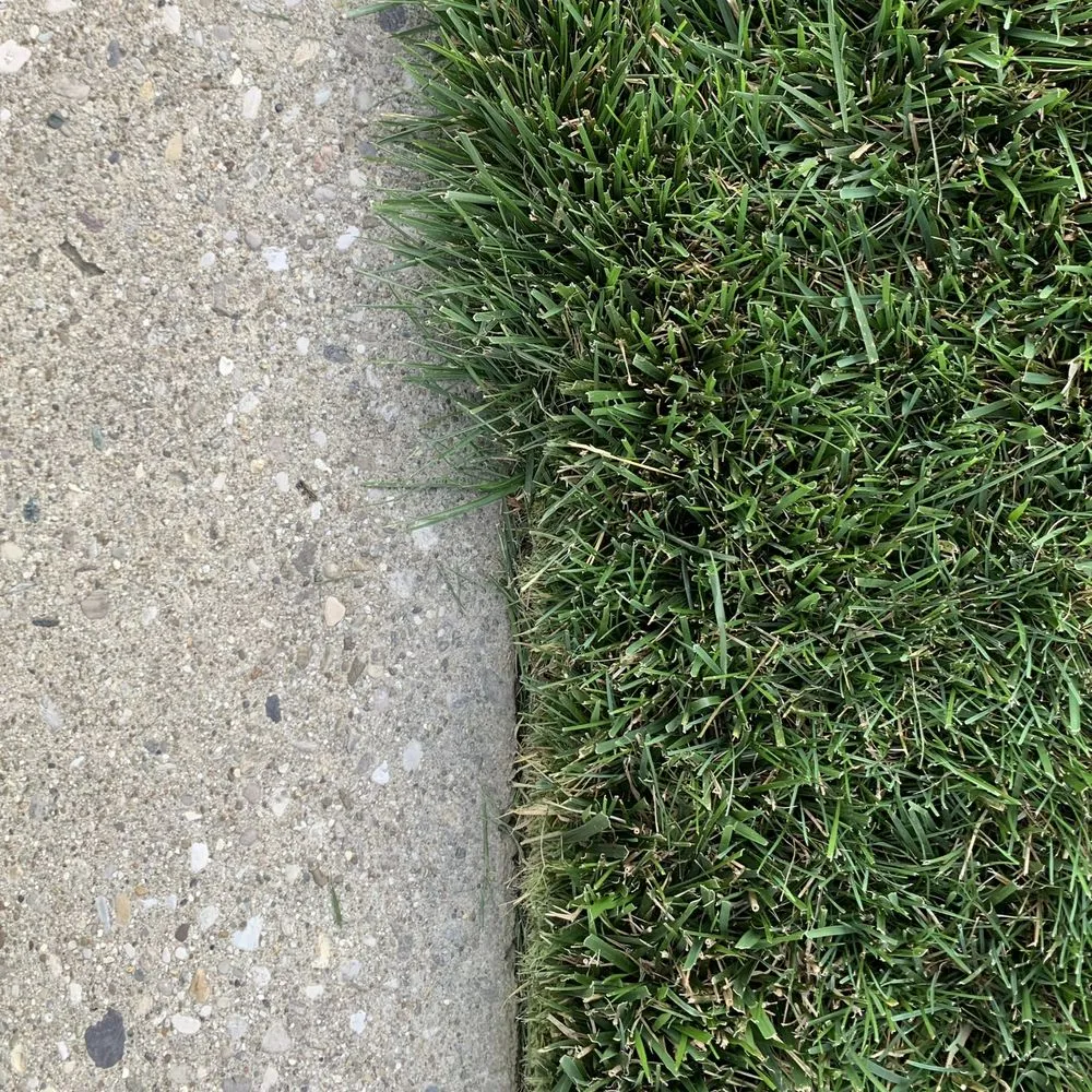 Affordable yard cleanup service in Springboro, OH by BoroBlades