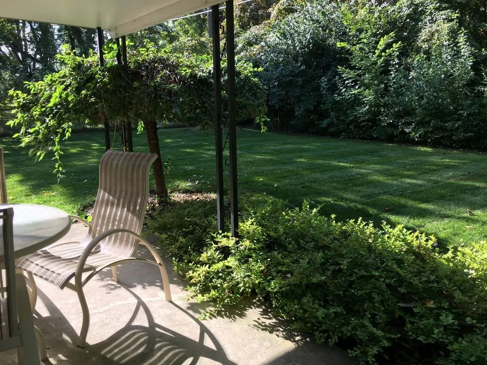 Affordable landscaping services for beautiful yards across Springboro, OH - BoroBlades