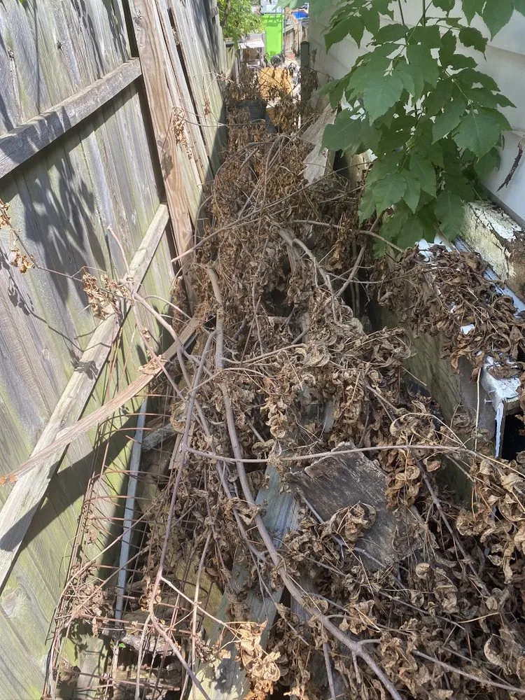 Custom landscape installation experts serving Racine, WI - Borowski Services