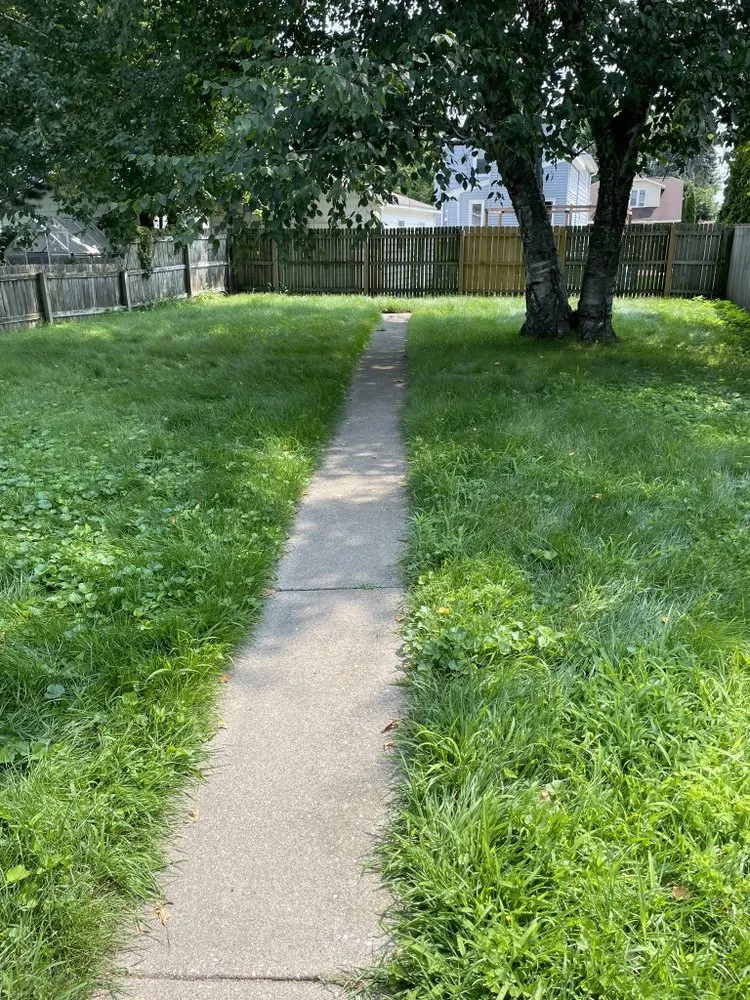 Reliable yard maintenance experts serving Racine, WI - Borowski Services