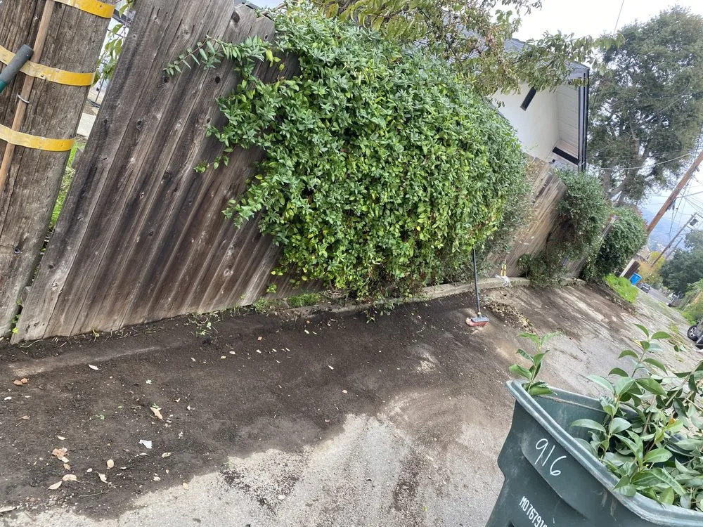 Professional lawn mowing service experts serving Vallejo, CA - Borrayos Landscaping and Welding