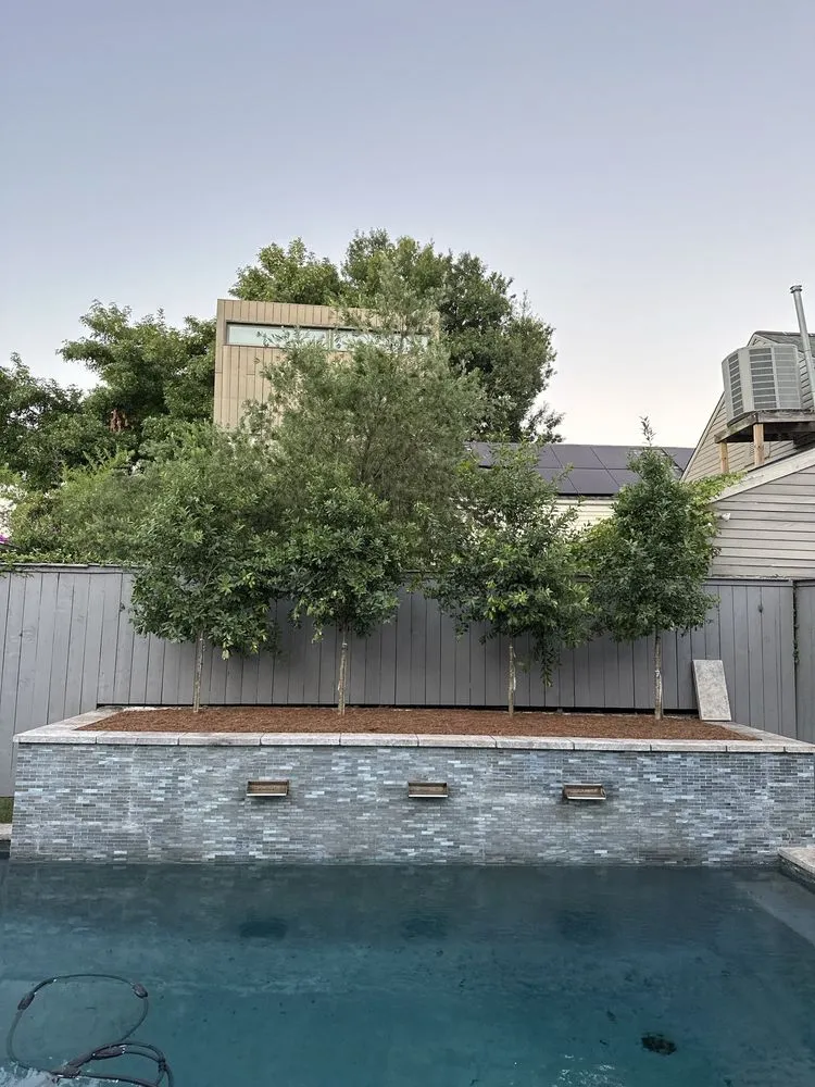 Custom yard maintenance for residential properties in Metairie, LA by Borries Landscaping