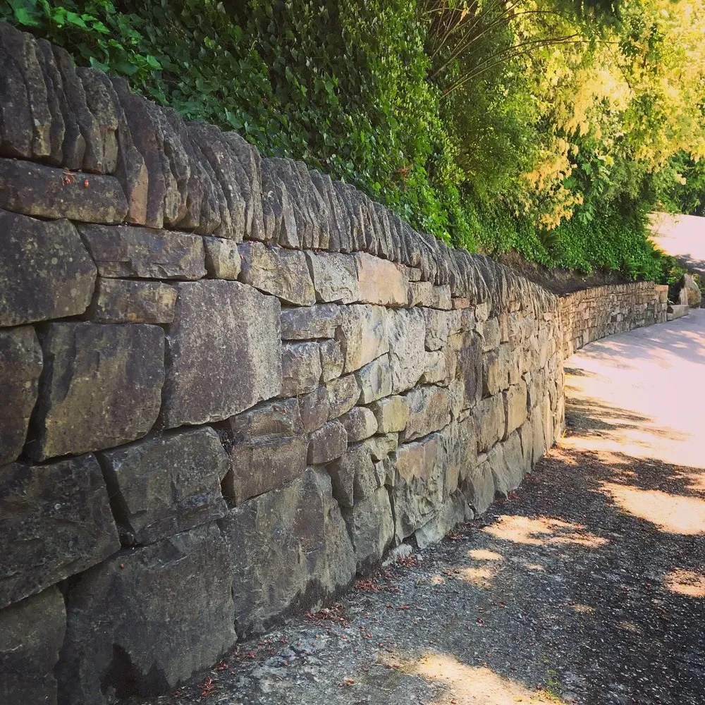 Reliable lawn care service in Bellingham, WA - Borrowed Ground