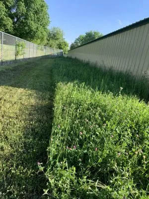 Borrowed Son Lawn Care