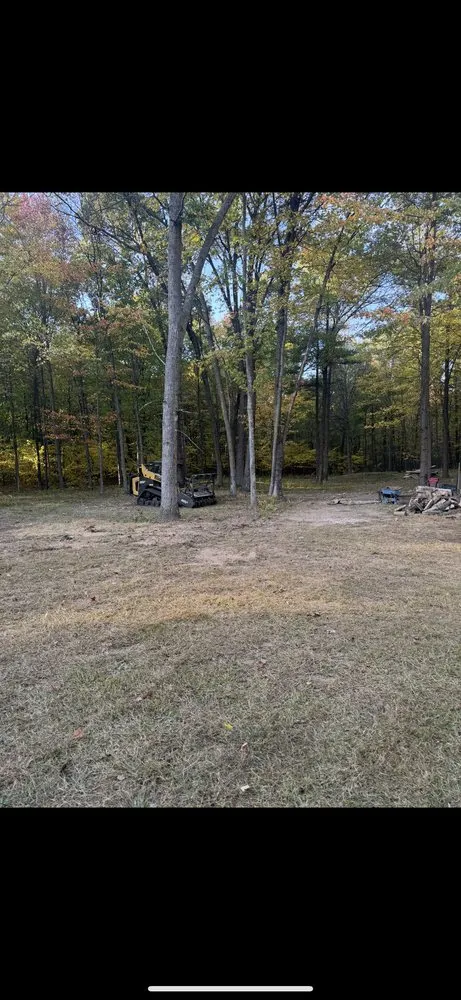 Custom yard cleanup service for outdoor upgrades in Daggett, MI by Borski Enterprises