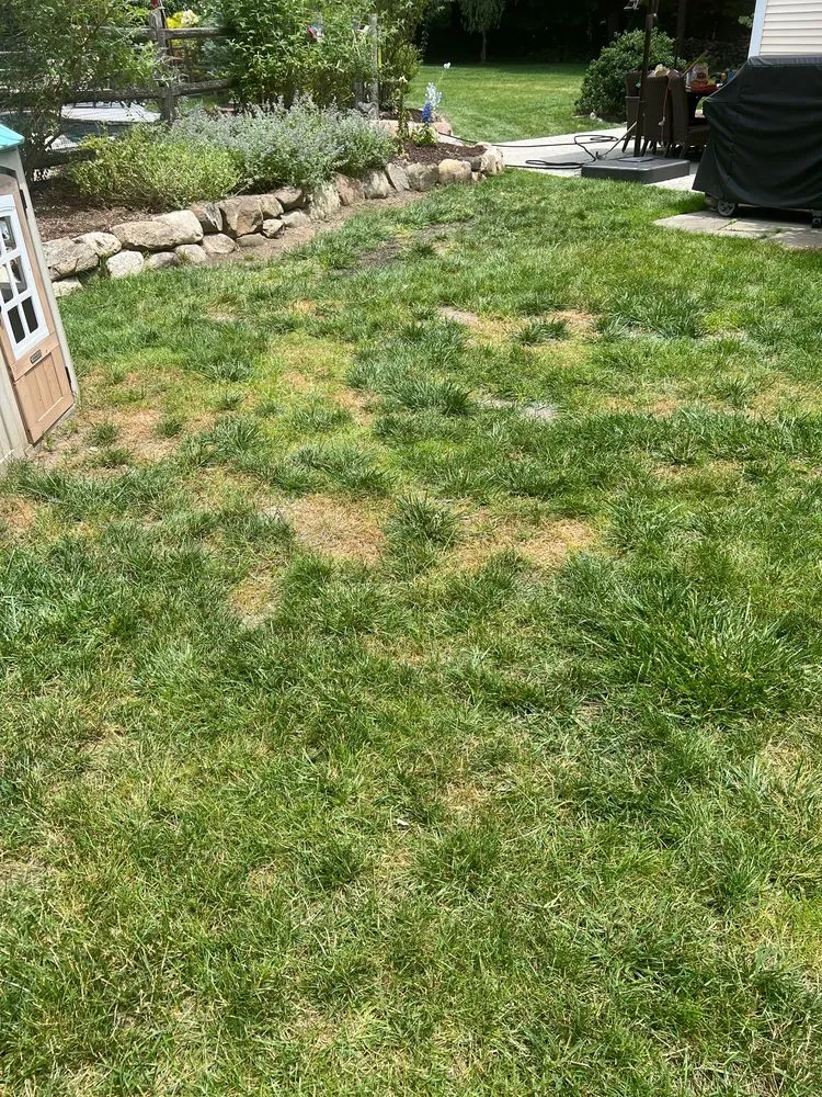 Reliable yard cleanup service for homes in Allendale, NJ by Borst Landscape & Design