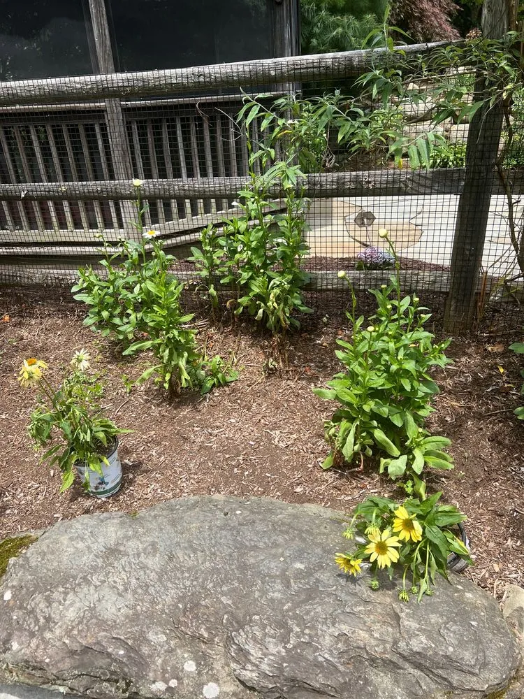 Reliable outdoor landscaping for beautiful yards across Allendale, NJ - Borst Landscape & Design