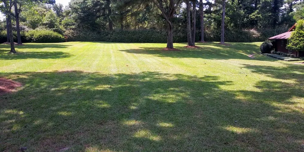 Expert lawn care service near you in Jackson, MS by Bo's Landscape
