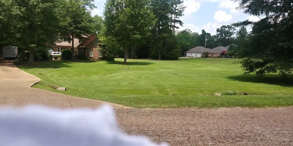 Expert landscape installation experts serving Jackson, MS - Bo's Landscape