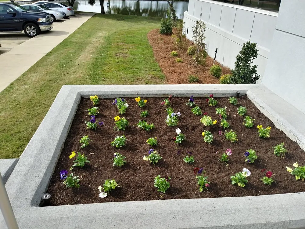 Top-rated residential landscaping for outdoor upgrades across Jackson, MS - Bo's Landscape