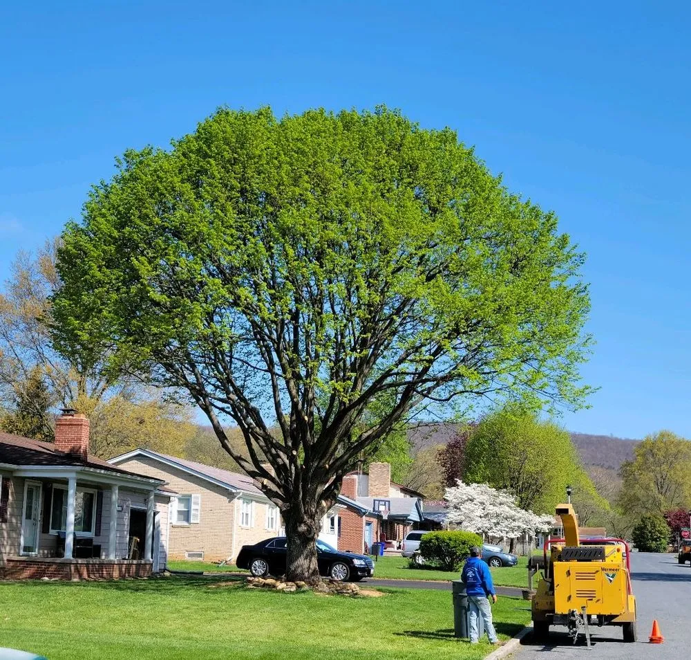 Local garden landscaping for beautiful yards in Knoxville, MD by Bo's Landscaping and Stump Removal