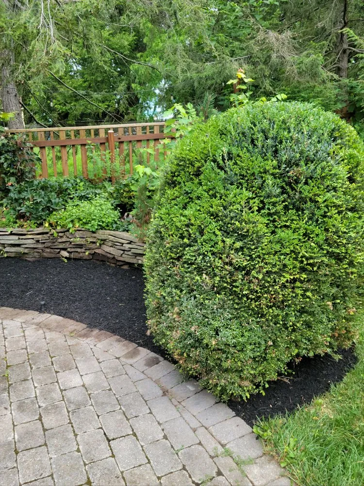 Professional outdoor landscaping in Knoxville, MD by Bo's Landscaping and Stump Removal