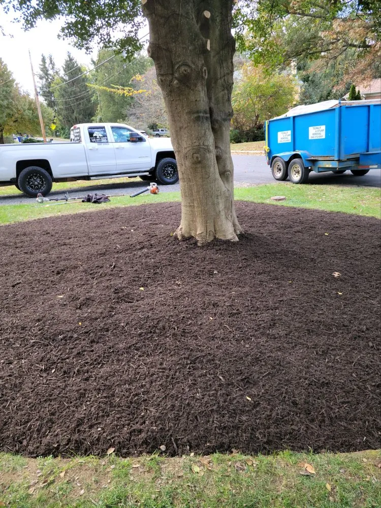 Reliable yard maintenance for outdoor upgrades across Knoxville, MD - Bo's Landscaping and Stump Removal
