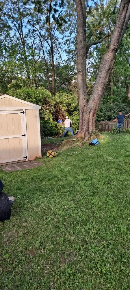 Expert garden landscaping with custom design across Knoxville, MD - Bo's Landscaping and Stump Removal