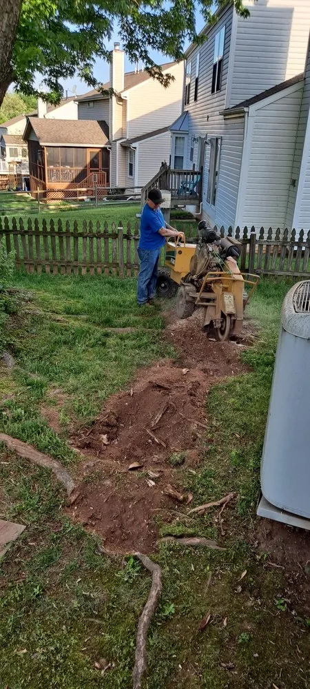 Custom lawn mowing service in Knoxville, MD by Bo's Landscaping and Stump Removal