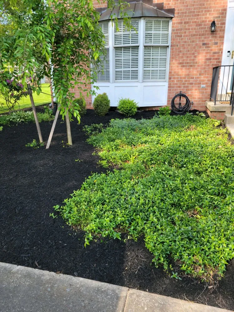 Professional residential landscaping for year-round maintenance across Knoxville, MD - Bo's Landscaping and Stump Removal