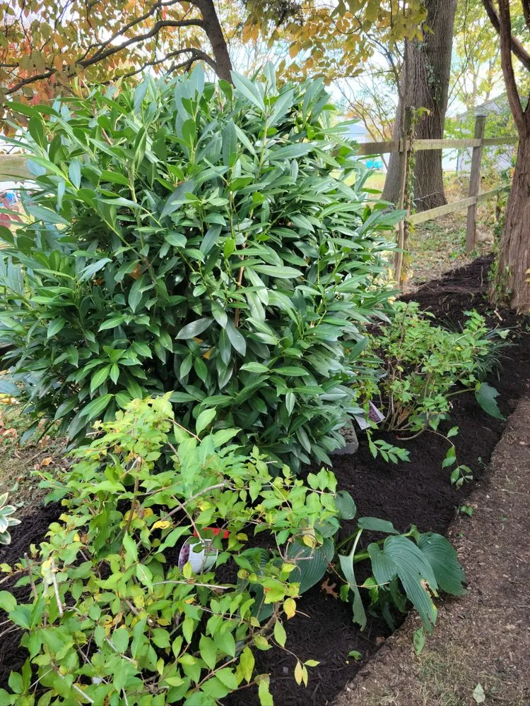 Trusted outdoor landscaping in Knoxville, MD - Bo's Landscaping and Stump Removal