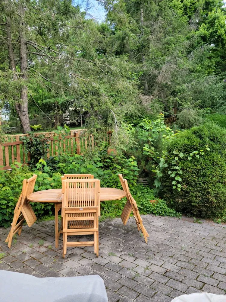 Expert yard cleanup service for residential properties across Knoxville, MD - Bo's Landscaping and Stump Removal