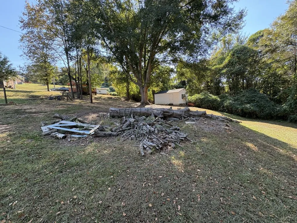 Local yard cleanup service for beautiful yards in Union, SC by Bo’s Lawn