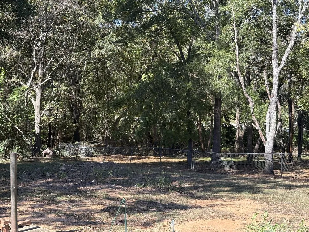 Expert residential landscaping for homes across Union, SC - Bo’s Lawn