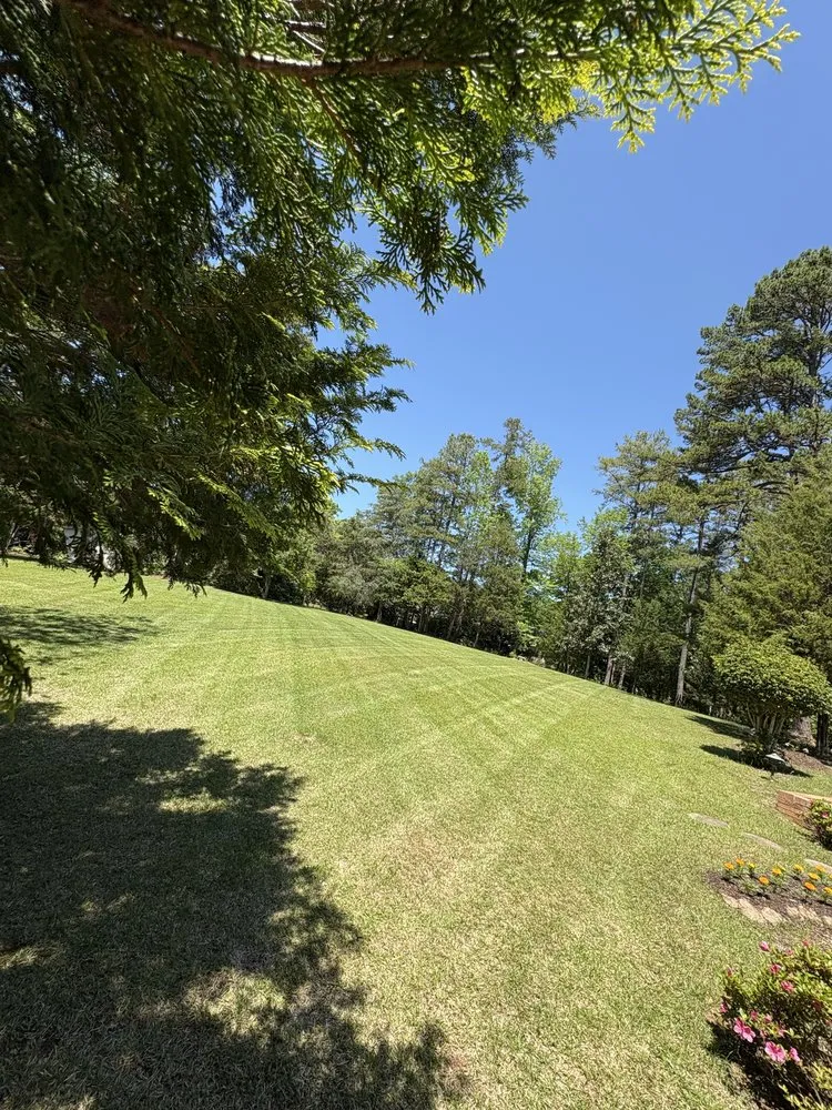 Custom yard cleanup service experts serving Union, SC - Bo’s Lawn