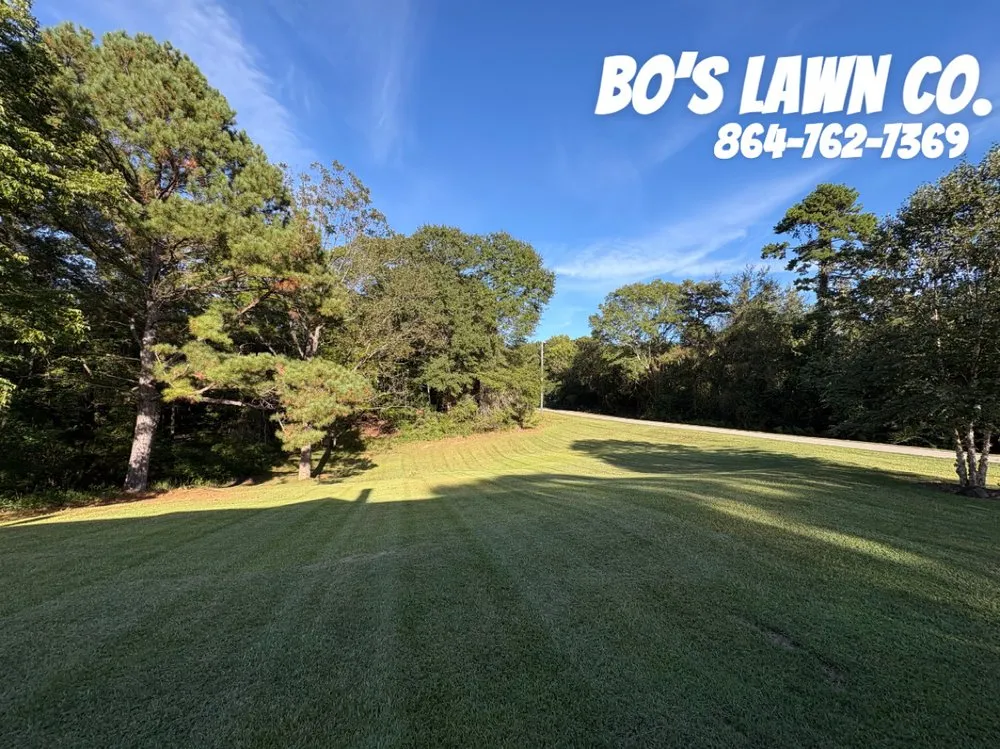 Expert yard cleanup service experts serving Union, SC - Bo’s Lawn