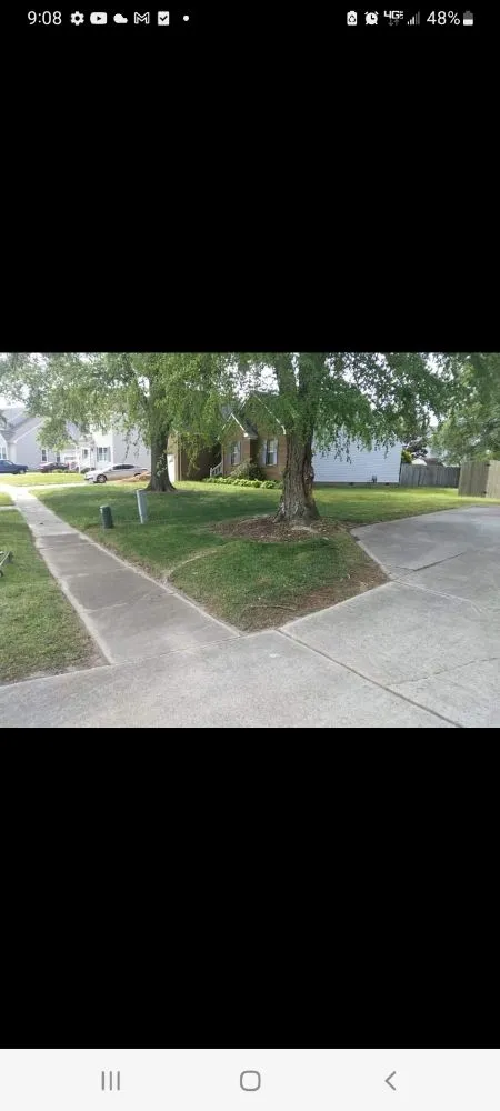 Custom yard maintenance for beautiful yards across Portsmouth, VA - Bo's Lawncare