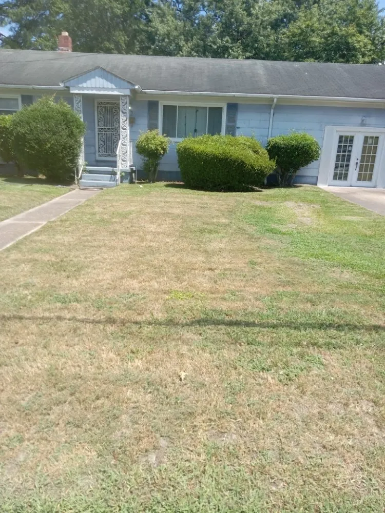 Custom lawn care service experts serving Portsmouth, VA - Bo's Lawncare
