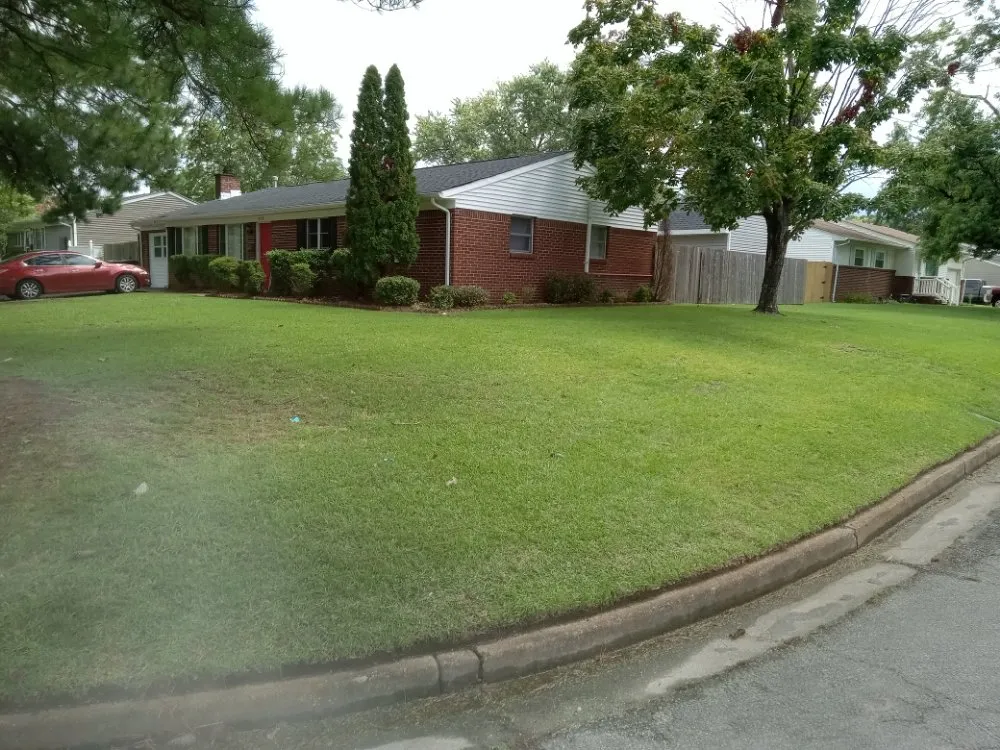 Custom yard cleanup service in Portsmouth, VA by Bo's Lawncare