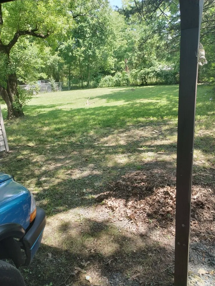 Reliable yard cleanup service for residential properties in Bossier City, LA by Bo's LawnCare Services