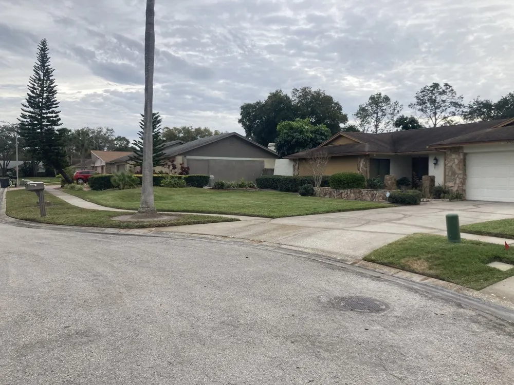 Professional outdoor landscaping experts serving Tampa, FL - Bos Services