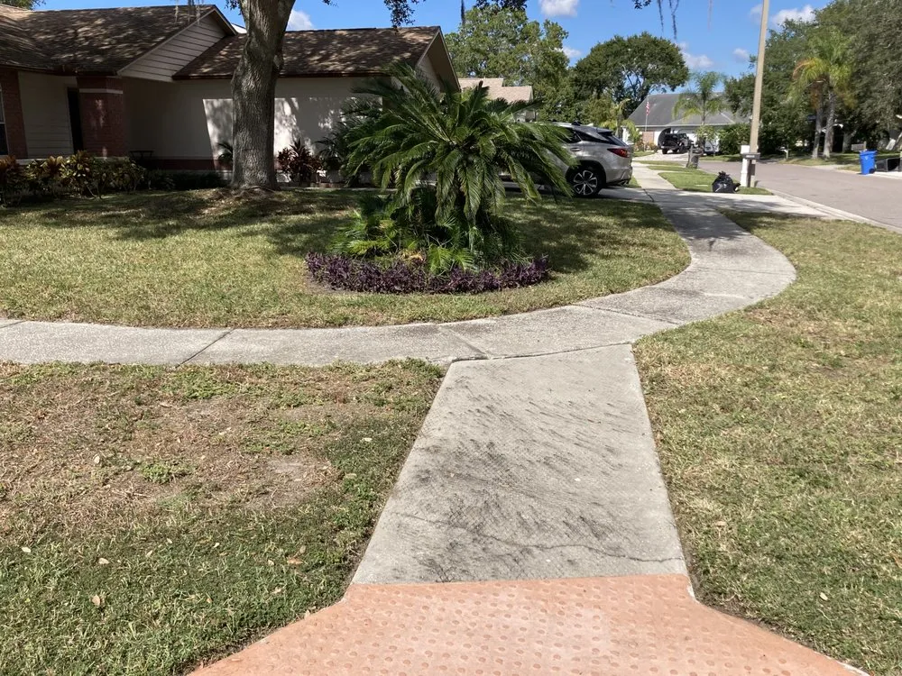 Professional landscape design for outdoor upgrades across Tampa, FL - Bos Services