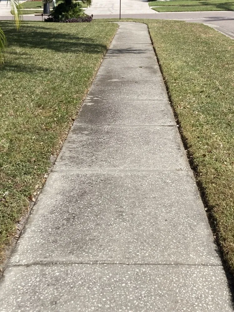 Reliable landscape design with custom design across Tampa, FL - Bos Services