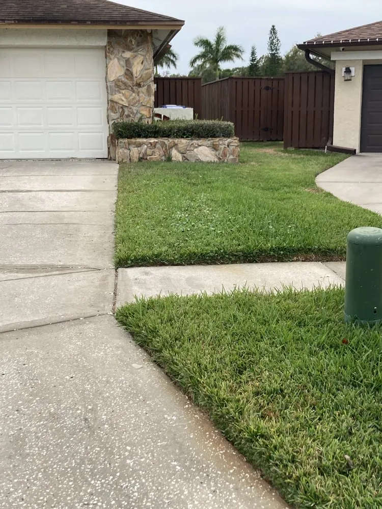 Trusted yard cleanup service in Tampa, FL - Bos Services