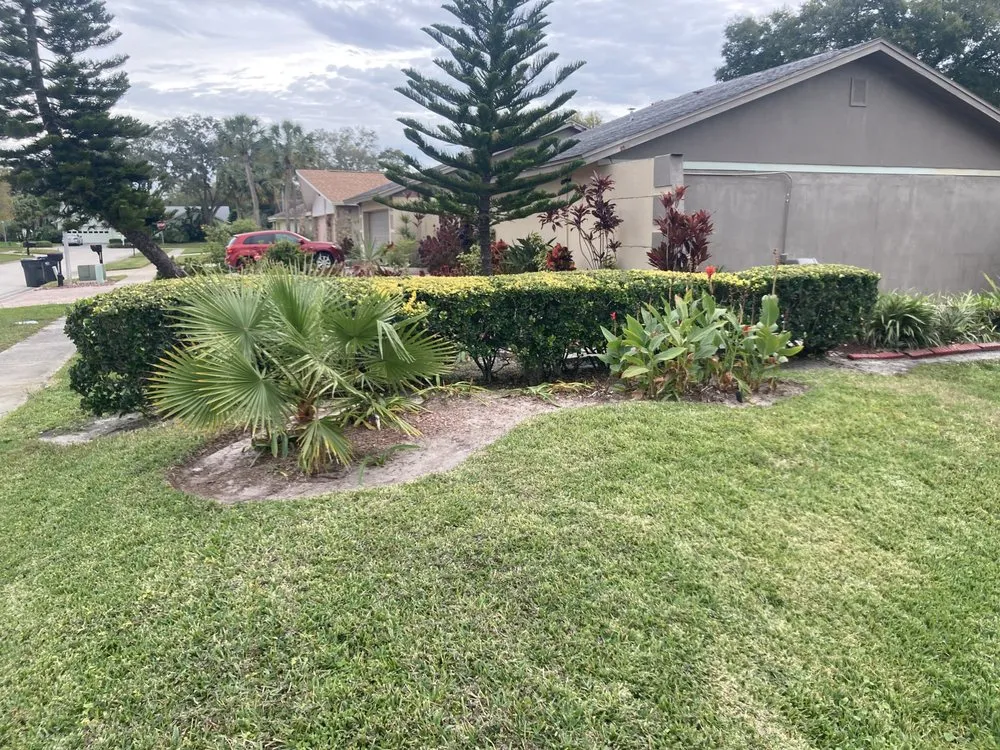Professional landscape installation near you across Tampa, FL - Bos Services