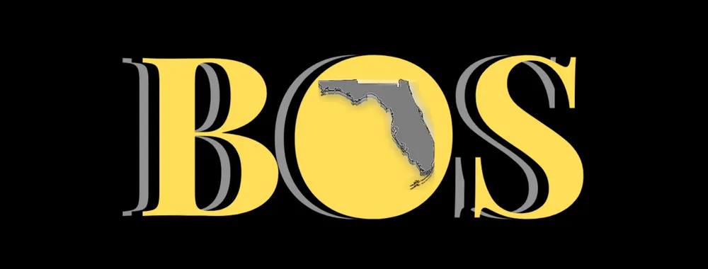 Local yard maintenance for year-round maintenance across Tampa, FL - Bos Services