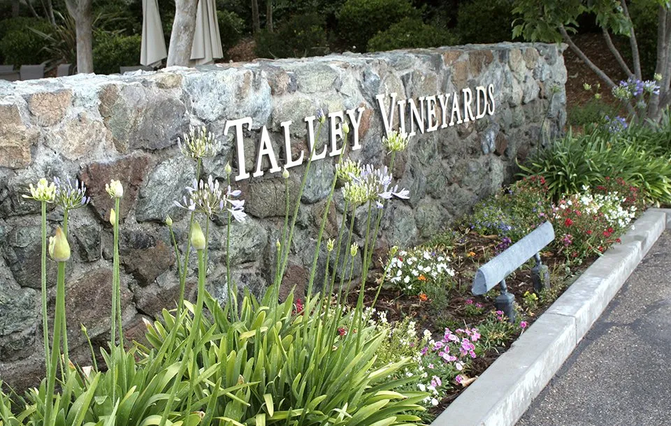 Custom yard cleanup service experts serving Arroyo Grande, CA - Bosch Landscape