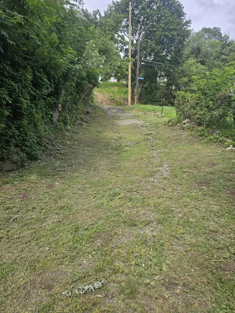 Expert lawn care service experts serving McKees Rocks, PA - Bosetti Lawn Care