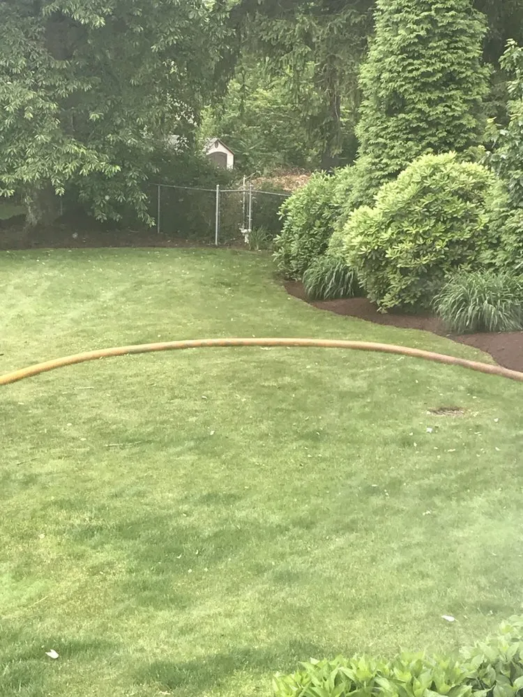 Affordable yard cleanup service in McKees Rocks, PA - Bosetti Lawn Care