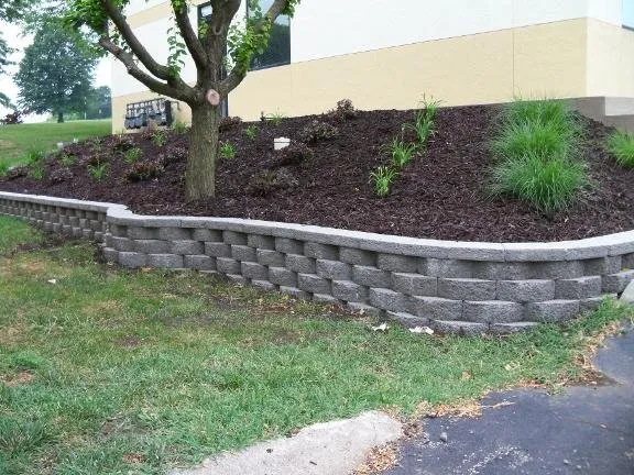 Local yard cleanup service experts serving Harrisonville, MO - BoShann's Lawn Service