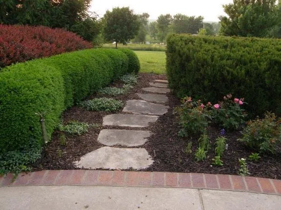 Affordable lawn care service in Harrisonville, MO - BoShann's Lawn Service
