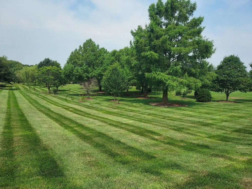 Local landscape design experts serving Lathrop, MO - Boskey Lawn Maintenance
