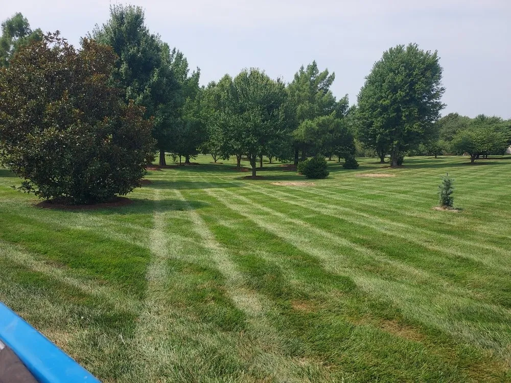 Professional lawn care service in Lathrop, MO - Boskey Lawn Maintenance