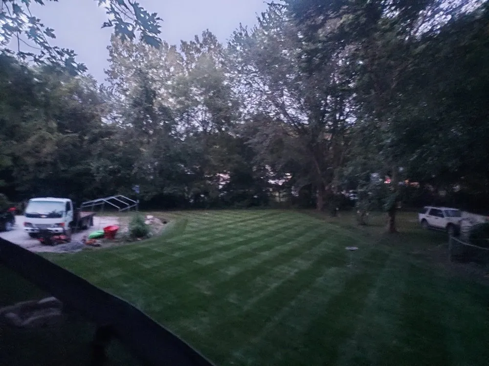 Reliable yard cleanup service experts serving Lathrop, MO - Boskey Lawn Maintenance